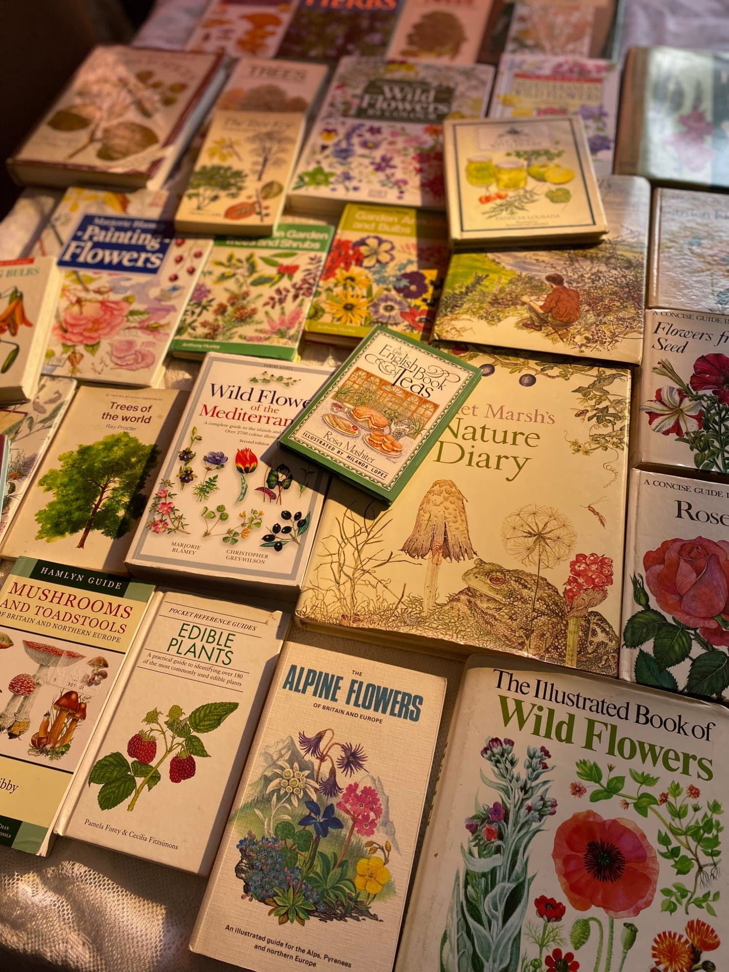 OBS Books collection