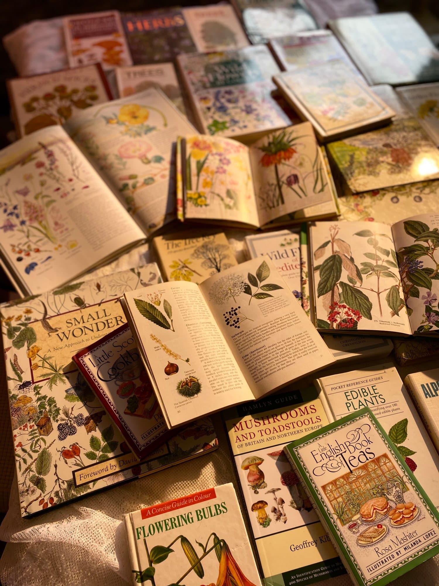 OBS Books collection